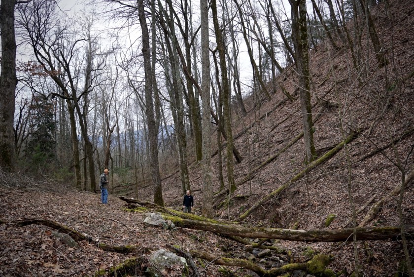 talking with the forester