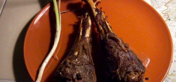 wild turkey drumsticks