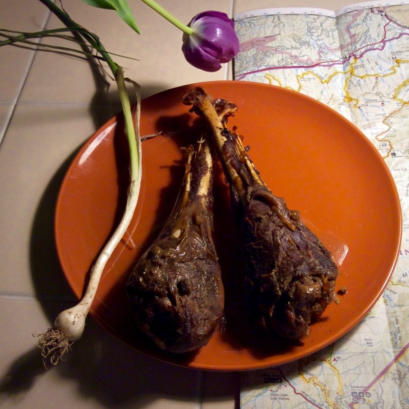 wild turkey drumsticks