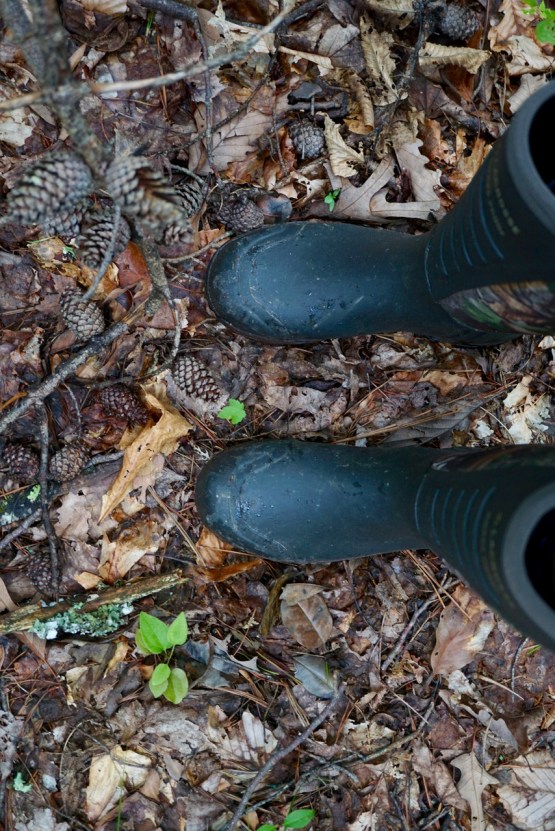 LaCrosse rattlesnake boots