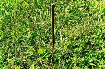 rebar with string on grass