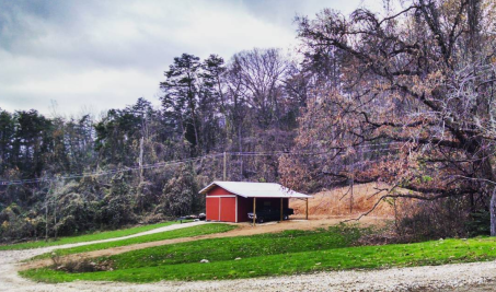 green grass and red barn in winter