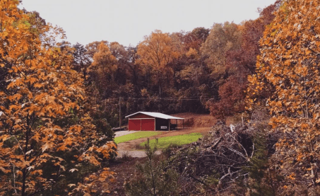 red barn with fall colors and green grass