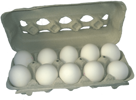 egg-carton-788022_1920.png