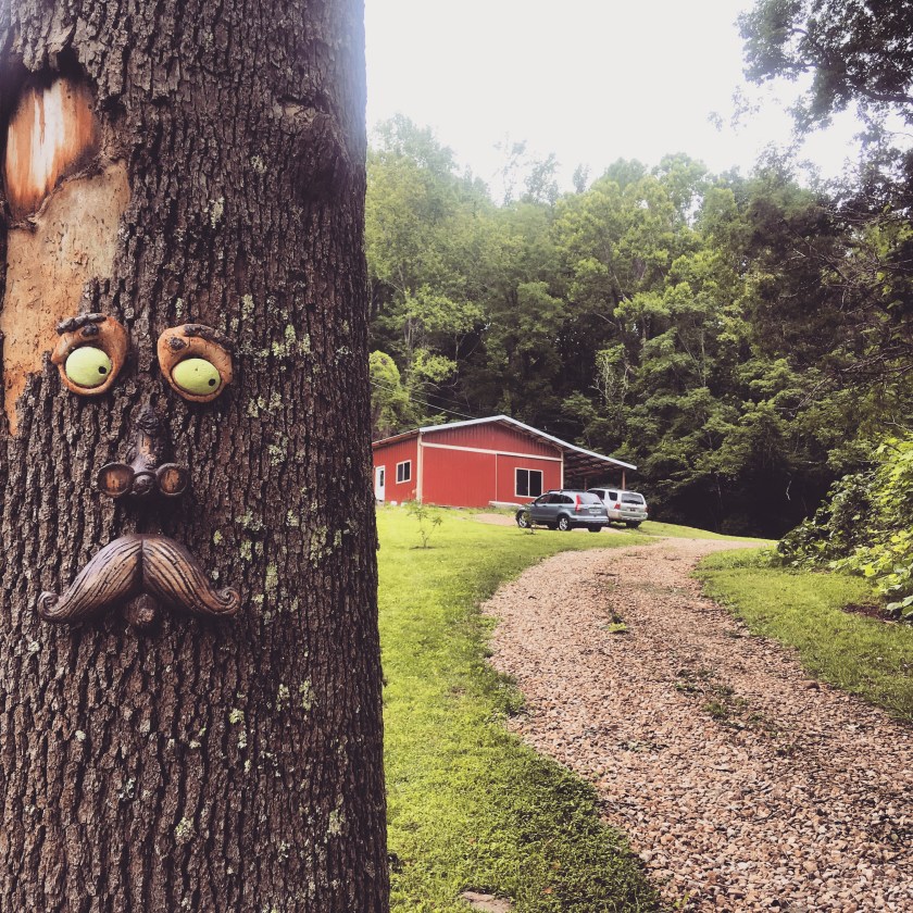 0BB7C789-CE2B-410E-B91E-A99E2B5C9BBB