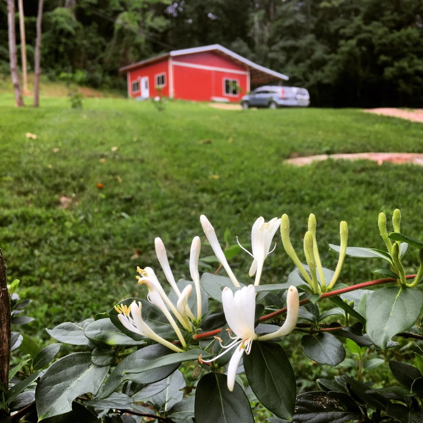 6CB80A4E-8C03-480C-B930-409F30CF7B86