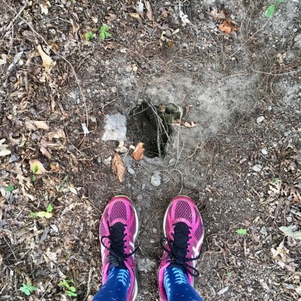tennis shoes standing next to an excavated yellow jacket ground nest
