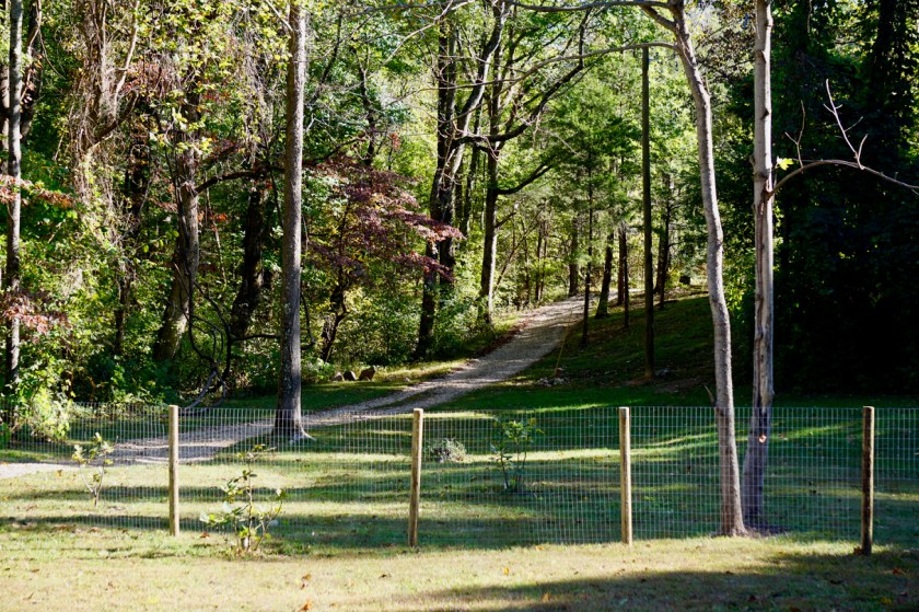 welded wire fence with posts in front of gravel driveway