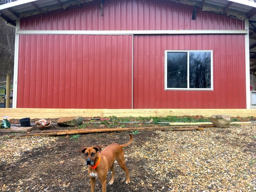 BarnbungalowWildflowerBed