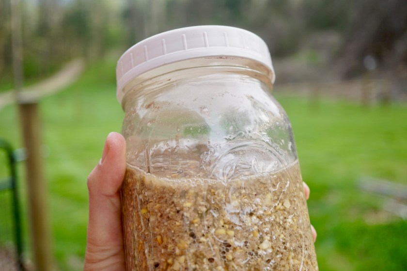 FermentedChickenFeed