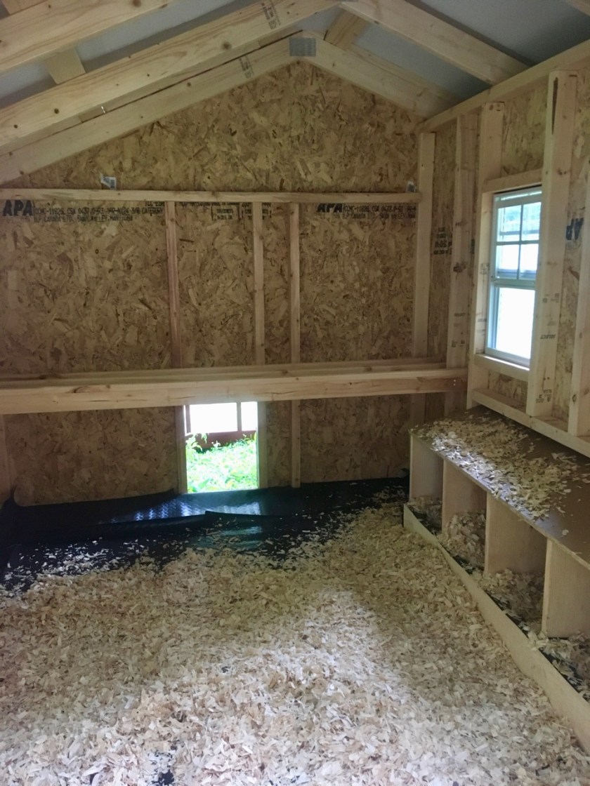 InsideChickenCoop