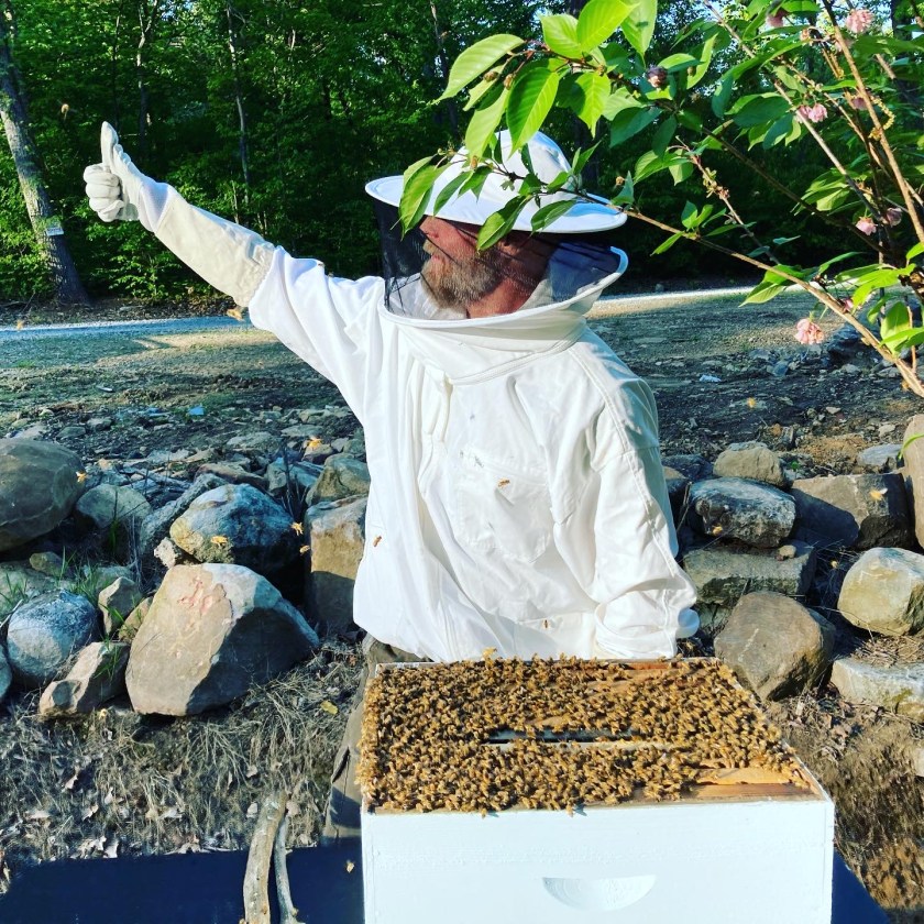beekeeper catching a swarm