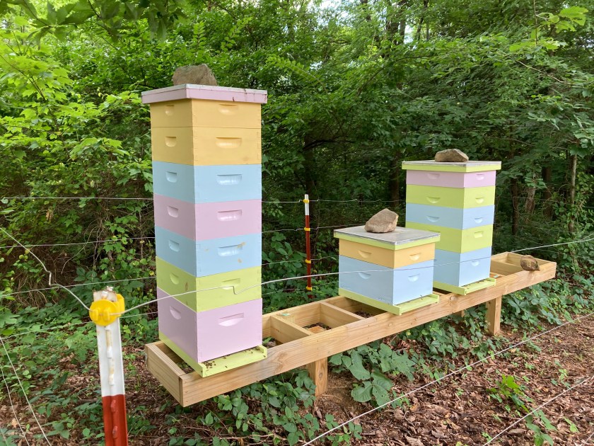 apiary with 3 hives in summer