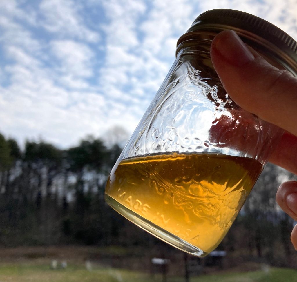 fresh maple syrup in a jar